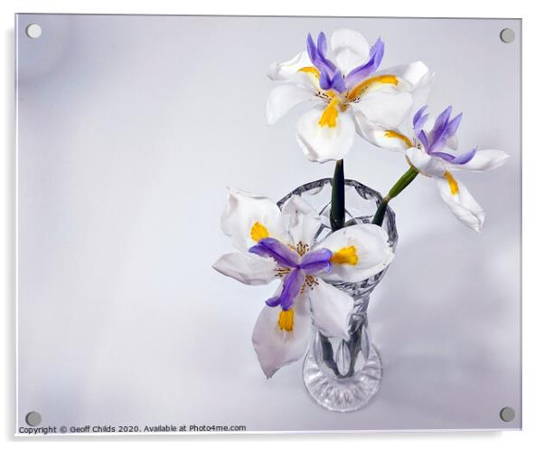 Wild Iris in glass vase. Acrylic by Geoff Childs
