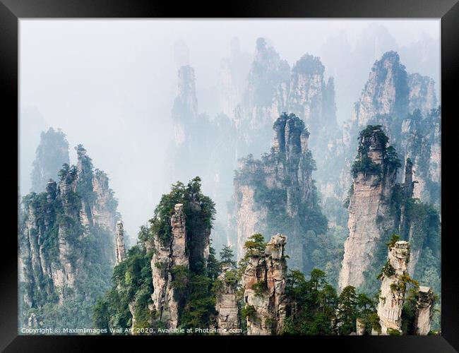 Wall Art print MXI27730: Mountain spires rising from fog at Zhangjiajie National Forest Park Framed Print by MaximImages Wall Art