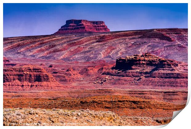 Colorful Canyon Cliff Mexican Hat Monument Valley Utah Print by William Perry