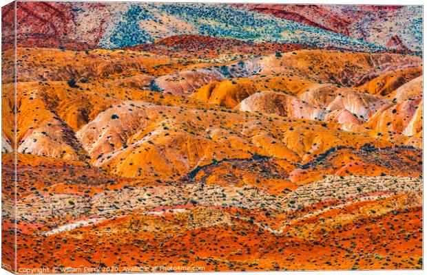 Colorful Canyon Rock Formation Mexican Hat Monument Valley Utah Canvas Print by William Perry