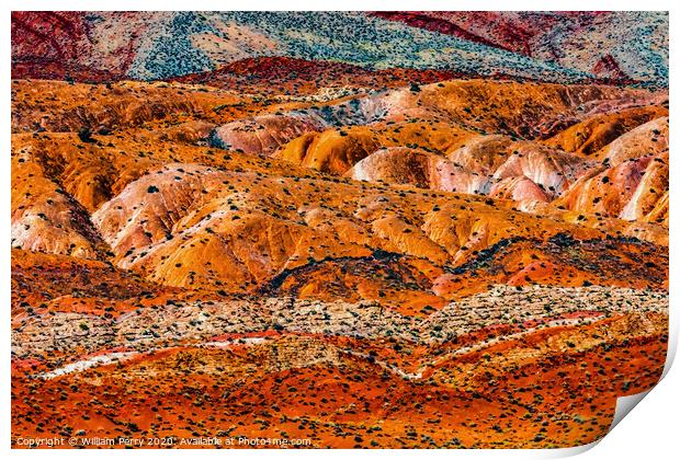 Colorful Canyon Rock Formation Mexican Hat Monument Valley Utah Print by William Perry