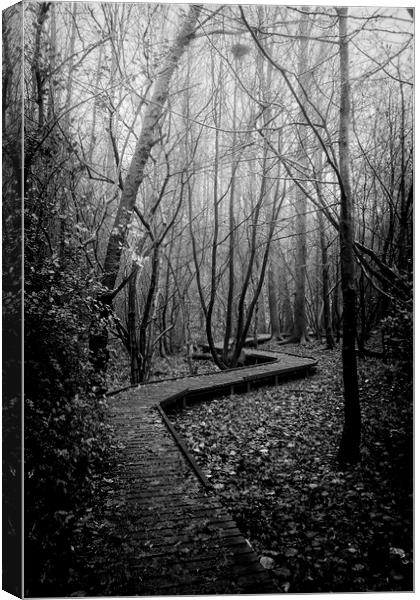 Moses Gate Foggy Walk Monochrome Moses Gate Bolton Canvas Print by Jonathan Thirkell