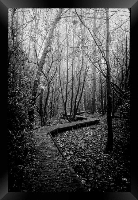 Moses Gate Foggy Walk Monochrome Moses Gate Bolton Framed Print by Jonathan Thirkell