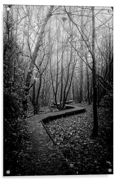 Moses Gate Foggy Walk Monochrome Moses Gate Bolton Acrylic by Jonathan Thirkell