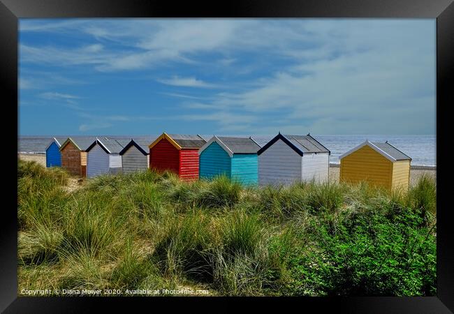 Southwold huts on the beach Suffolk Framed Print by Diana Mower