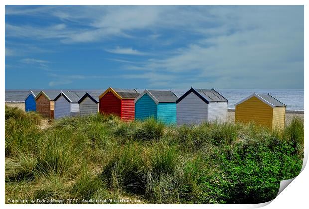 Southwold huts on the beach Suffolk Print by Diana Mower