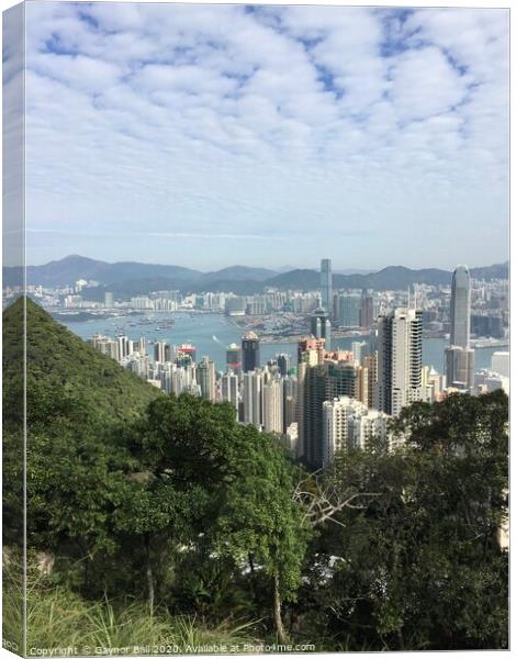 Hong Kong skyline Canvas Print by Gaynor Ball