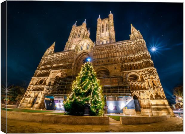Lincoln Cathedral and The St Barnabas Tree of Life Canvas Print by Andrew Scott