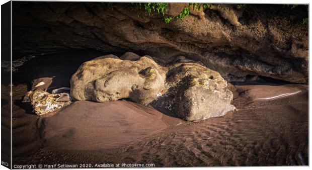 White frog stone sculpture by erosion 1 Canvas Print by Hanif Setiawan