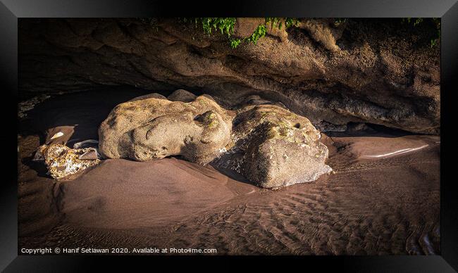 White frog stone sculpture by erosion 1 Framed Print by Hanif Setiawan