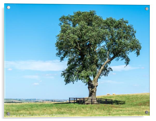 Lone tree. Acrylic by Bill Allsopp