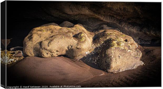 White stone frog made by fluvial erosion 2 Canvas Print by Hanif Setiawan