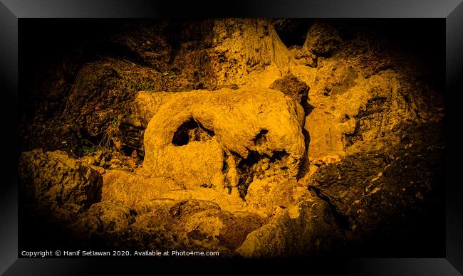 Animal skull sculpture by rock erosion 1 Framed Print by Hanif Setiawan