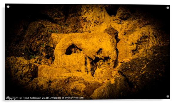 Animal skull sculpture by rock erosion 1 Acrylic by Hanif Setiawan