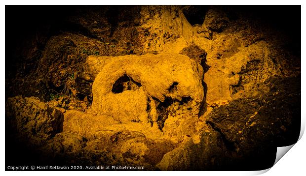 Animal skull sculpture by rock erosion 1 Print by Hanif Setiawan