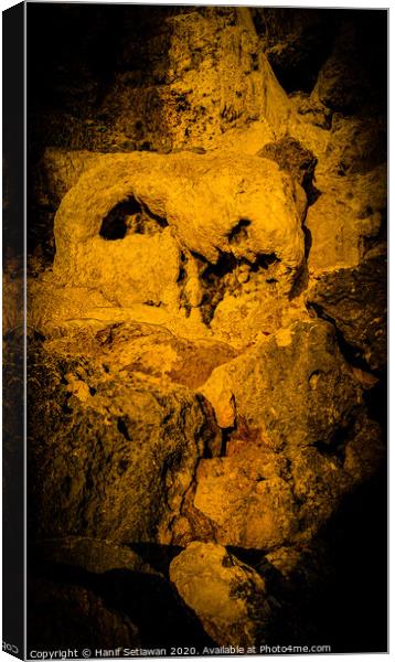 Animal skull sculpture by rock erosion 2 Canvas Print by Hanif Setiawan