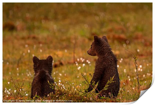 Pair of Bear cubs looking worried Print by Jenny Hibbert
