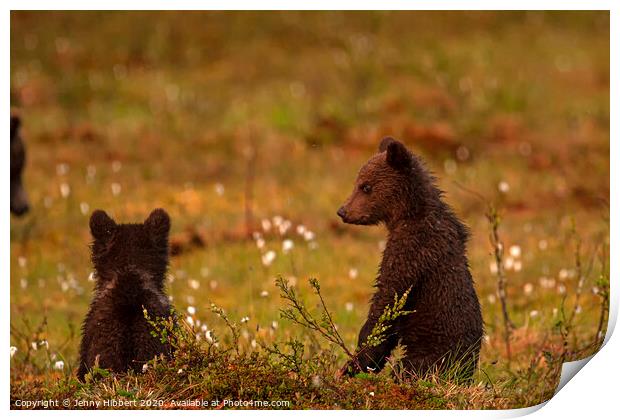 Bear cubs watching another family of bears approaching Print by Jenny Hibbert