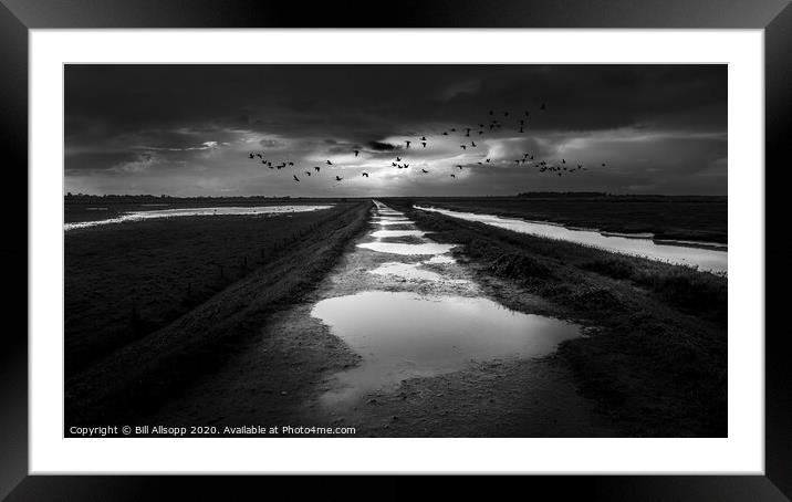 The Wild Geese. Framed Mounted Print by Bill Allsopp