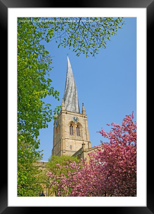 Chesterfield twisted spire. Framed Mounted Print by David Birchall