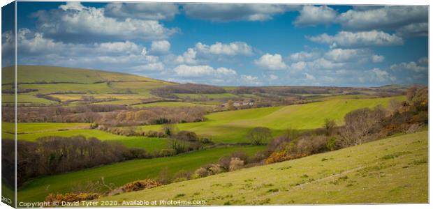 Purbeck Countryside Canvas Print by David Tyrer