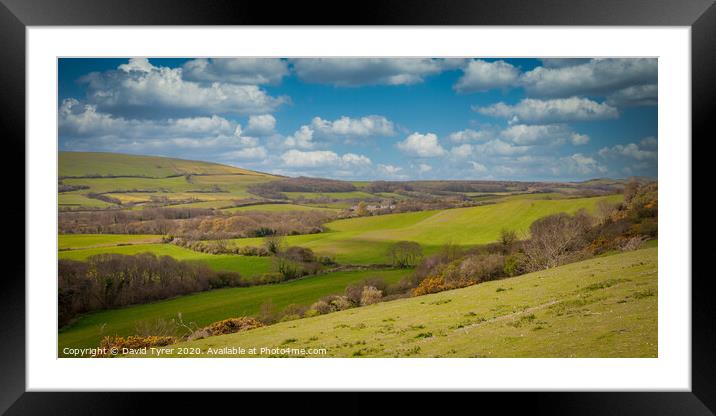 Purbeck Countryside Framed Mounted Print by David Tyrer
