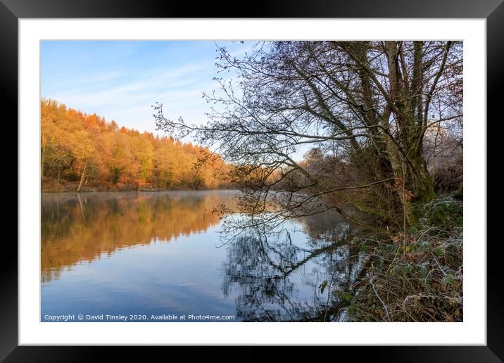 Late Autumn at Cannop No.1 Framed Mounted Print by David Tinsley