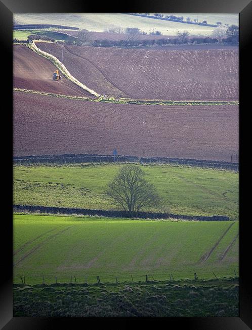 Down on the farm Framed Print by Howard Corlett