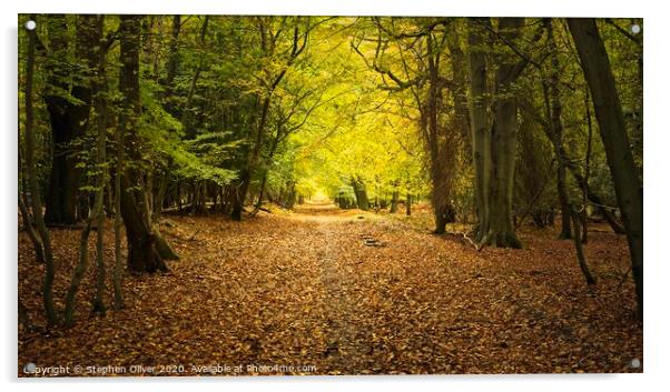 Unused Road Acrylic by Stephen Oliver