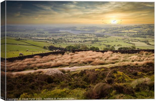 Twilight Over Staffordshire's Untamed Wilderness Canvas Print by David Tyrer