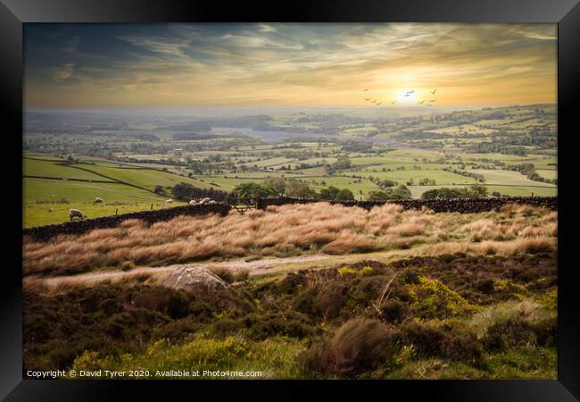 Twilight Over Staffordshire's Untamed Wilderness Framed Print by David Tyrer