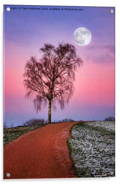 Early Winter Moon Acrylic by Taina Sohlman
