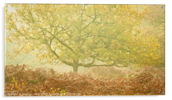 Misty Tree Acrylic by Stephen Oliver