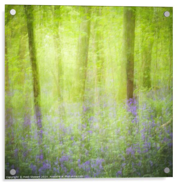Bluebell Wood Acrylic by Heidi Stewart