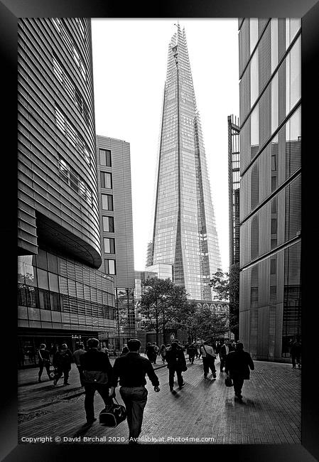 The daily procession to The Shard. Framed Print by David Birchall