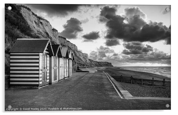 Cromer beach huts at sunset monochrome Acrylic by David Powley