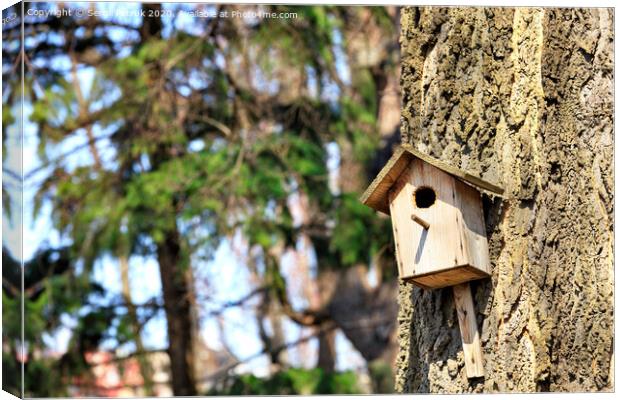 An old birdhouse nailed high on an oak tree in a spring park. Canvas Print by Sergii Petruk