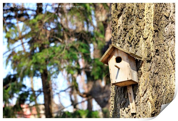 An old birdhouse nailed high on an oak tree in a spring park. Print by Sergii Petruk