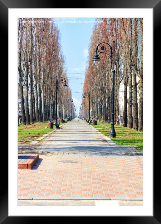 Poplar alley with vintage street lamps along the path, paved with paving slabs. Framed Mounted Print by Sergii Petruk