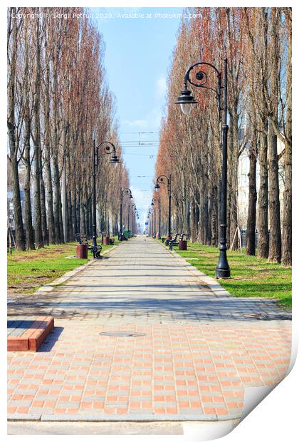 Poplar alley with vintage street lamps along the path, paved with paving slabs. Print by Sergii Petruk