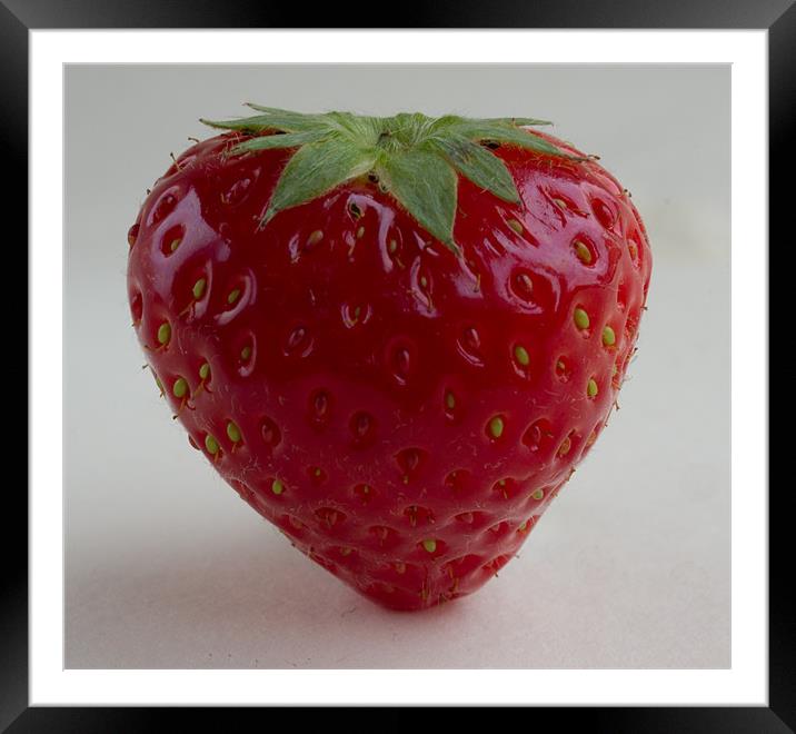 Strawberry Framed Mounted Print by Emma Kenmore