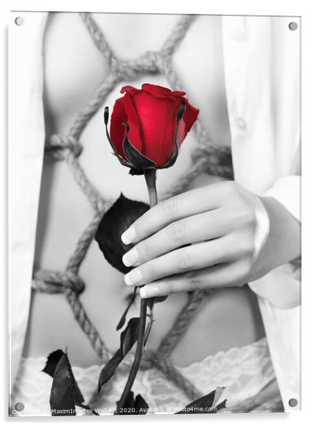 Wall Art print MXI22872: Woman with Red rose in Sensual Bondage photograph Acrylic by MaximImages Wall Art