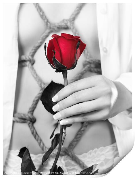 Wall Art print MXI22872: Woman with Red rose in Sensual Bondage photograph Print by MaximImages Wall Art