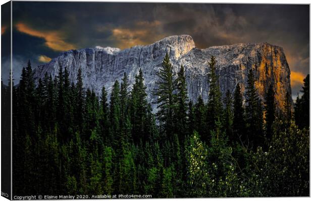Forest and Mountain Canvas Print by Elaine Manley