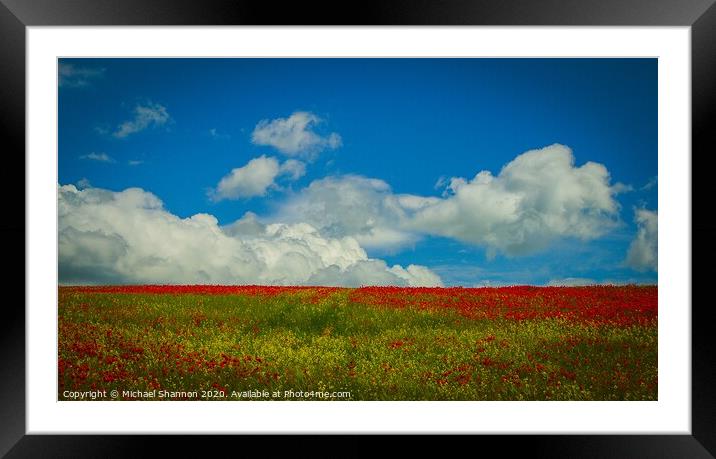 A Sea of Red Poppies Framed Mounted Print by Michael Shannon