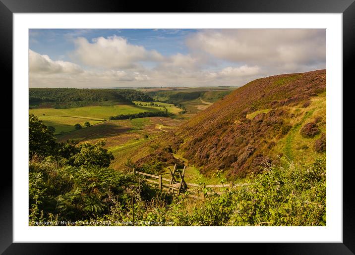 Path leading down to the Hole of Horcum Framed Mounted Print by Michael Shannon
