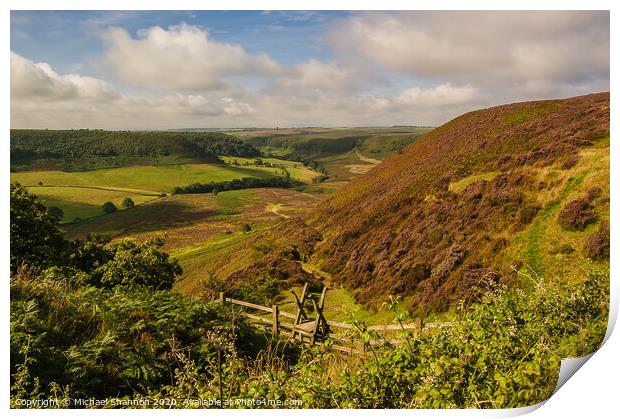 Path leading down to the Hole of Horcum Print by Michael Shannon