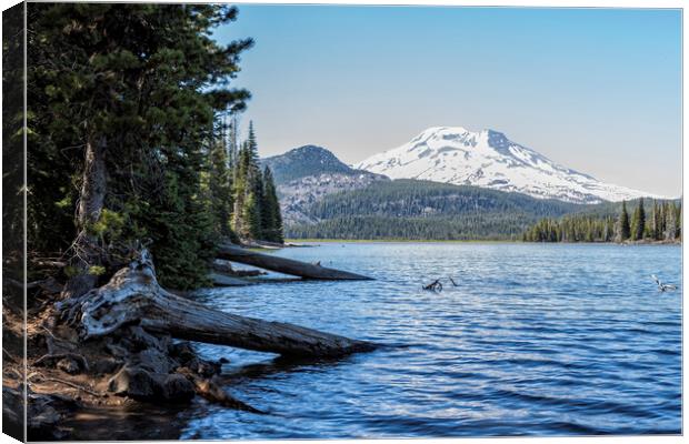 South Sister from Sparks Lake Canvas Print by Belinda Greb