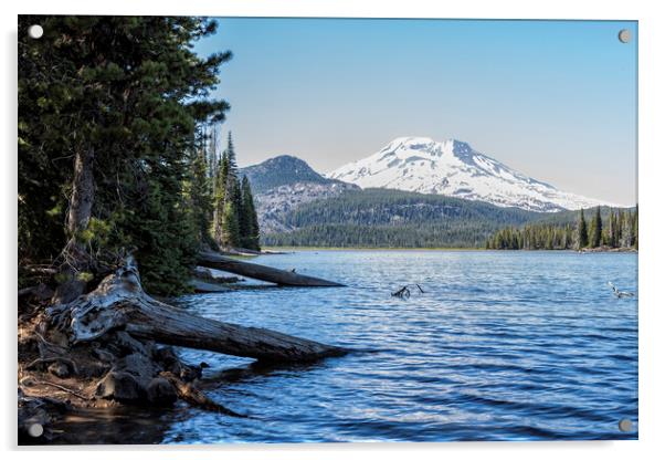 South Sister from Sparks Lake Acrylic by Belinda Greb