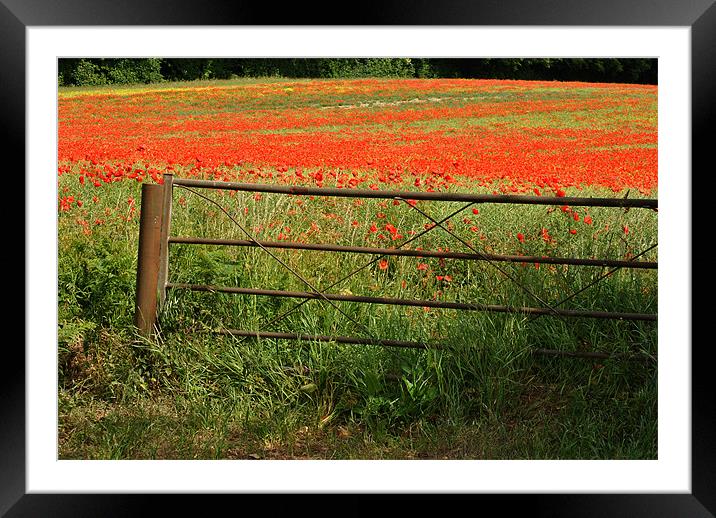 Gateway to the Poppy Field Framed Mounted Print by graham young